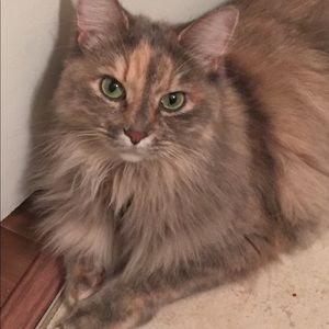 Meet your Posher, Jw